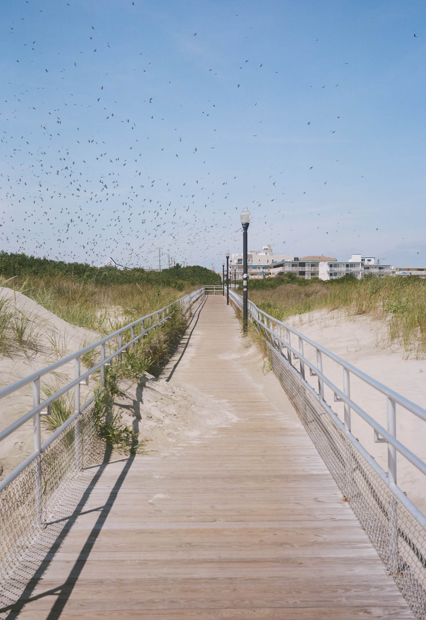 Wildwood NJ Beach, film photo